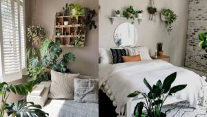 What plants are good for the bedroom